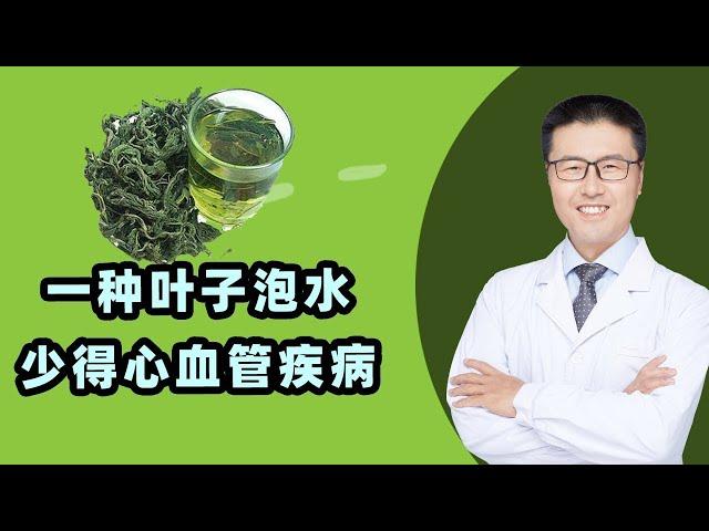 一种叶子泡水，少得心血管疾病｜【老安谈健康】