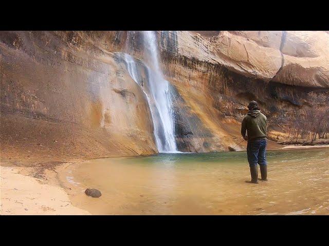 Trout Fishing a WATERFALL in the DESERT!! (Catch & Cook)