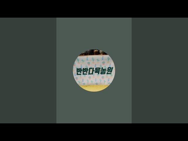 반반다육농원 Succulent Farm 라이브 스트리밍 중