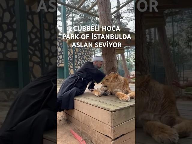 Cübbeli Ahmet Hoca Aslan Seviyor