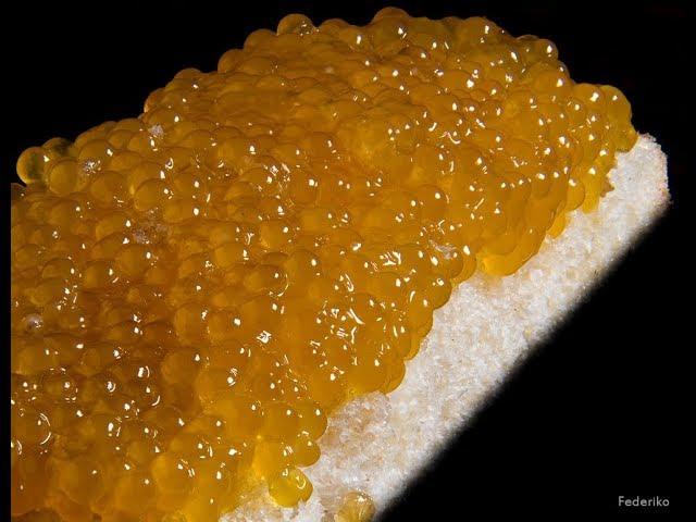 Pike caviar - how to cook. Pike caviar is five minutes old. Pike caviar cooking recipe.