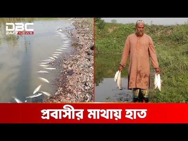 নিমিষেই শেষ প্রবাসীর মাছ চাষের স্বপ্ন | DBC NEWS Special