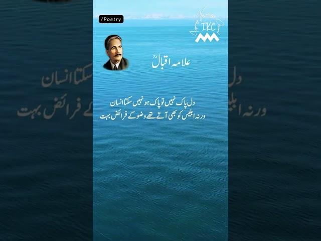 Allama Iqbal Poetry️Ⓜ️#urdupoetry #shorts