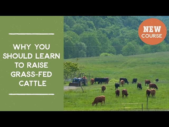 Why you should learn to raise grass-fed cattle | Joel Salatin's Salad Bar Beef Video Course Trailer