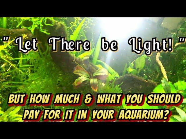 Let There Be (Aquarium) LIGHT! - What Kind of LED Should I Get & What is The Best Price I Can Find?