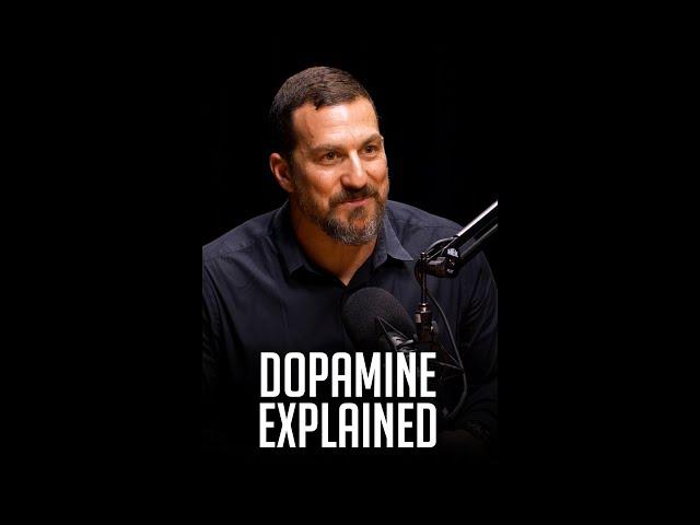 Andrew Huberman Explains Dopamine