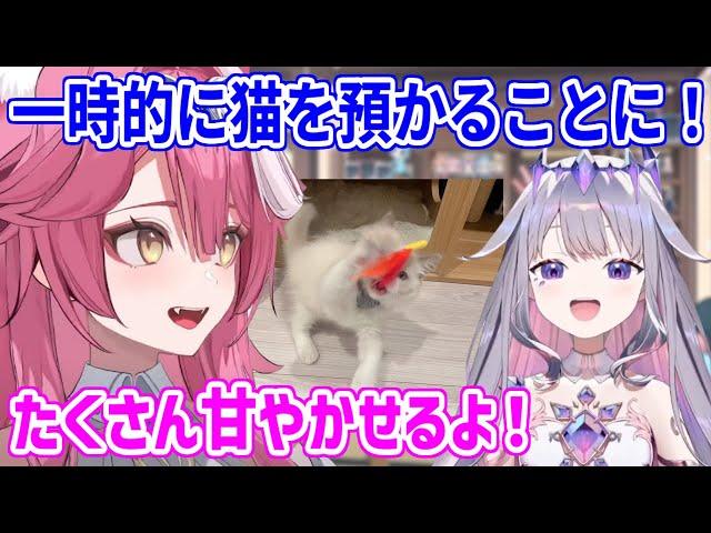 ビブーが出張＋旅行の間、John Catのお世話をすることになったラオーラ／行く前にみんなとハグをするビブーだが...【ホロライブ切り抜き/古石ビジュー/ラオーラ・パンテーラ】
