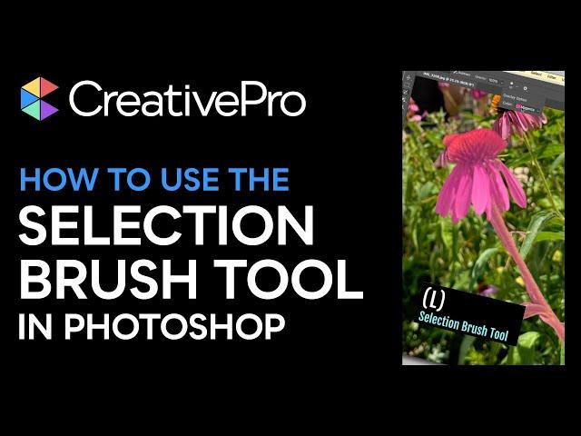 Photoshop: How to Use the New Selection Brush Tool (Video Tutorial)