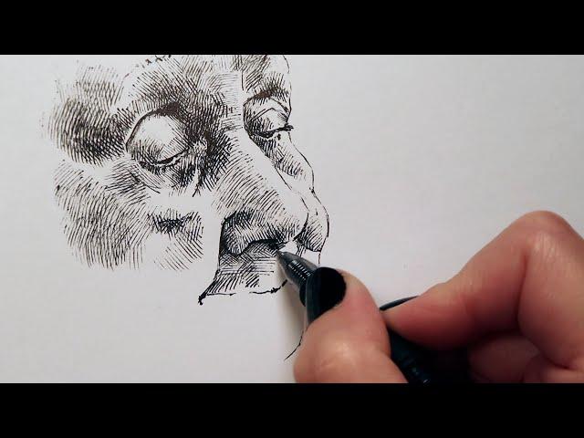 Mini-Lesson: Crosshatching in Pen with France Van Stone