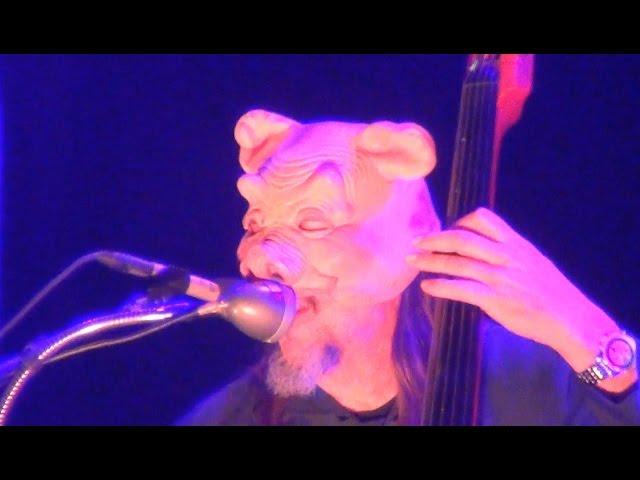 Primus - Mr. Krinkle - Aftershock 2016