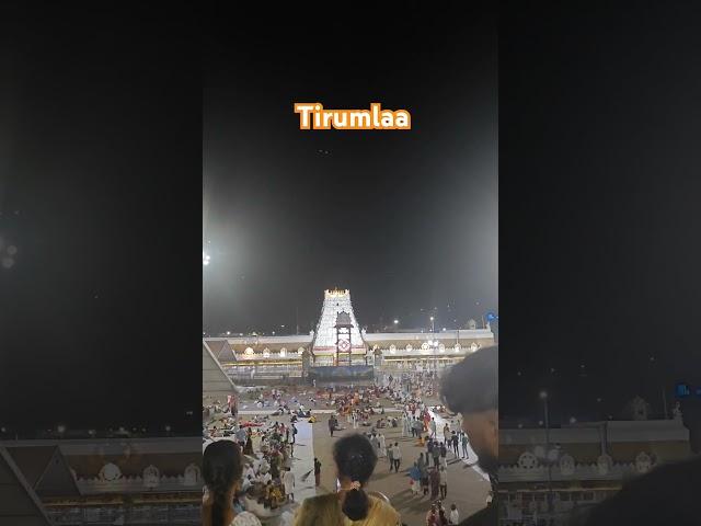 Tirumala #shorts #trending #tirumala #bramhotsavalu #tirupati #tirumalaladdu #balaji