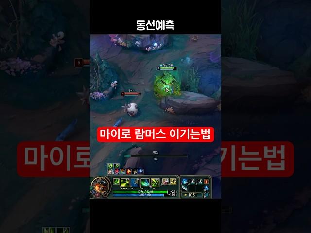 람머스 상대로 마이 후픽
