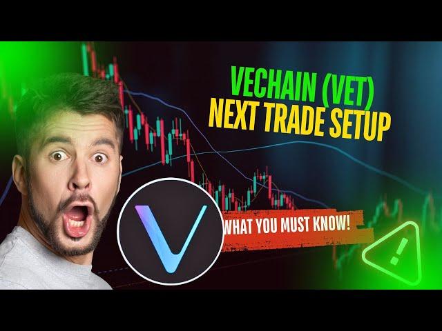 VECHAIN (VET) HOLDERS ACT NOW OR MISS OUT ON THIS MOVE