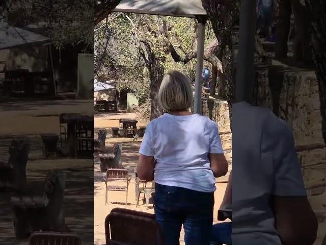 Moment of disarray as leopard sprints through picnic site in Kruger National Park