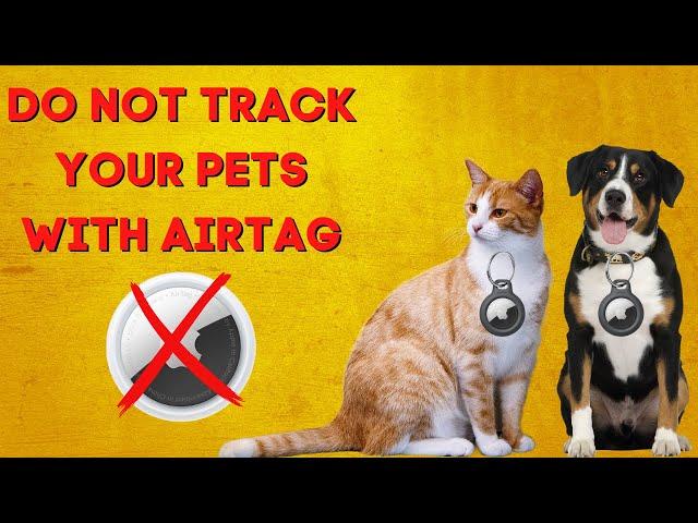 Can You Use AirTag for Cats and Dogs? Is It Safe? Apple Airtag for Pets Review & Alternatives