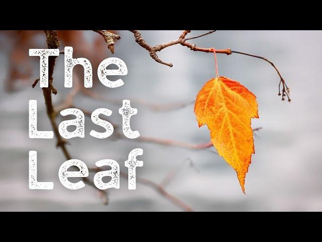 The Last Leaf - O. Henry (audiobook)