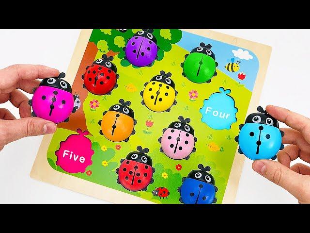 Learn Colors, ABC & Numbers | Miraculous Ladybugs + More Kid Toys | Preschool Toddler Learning Video