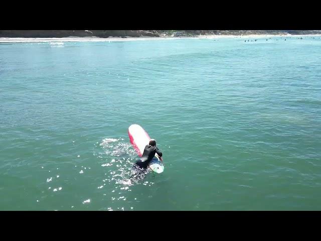 Sammy finds a different surfer to hang out with in Pacific Beach San Diego Ca