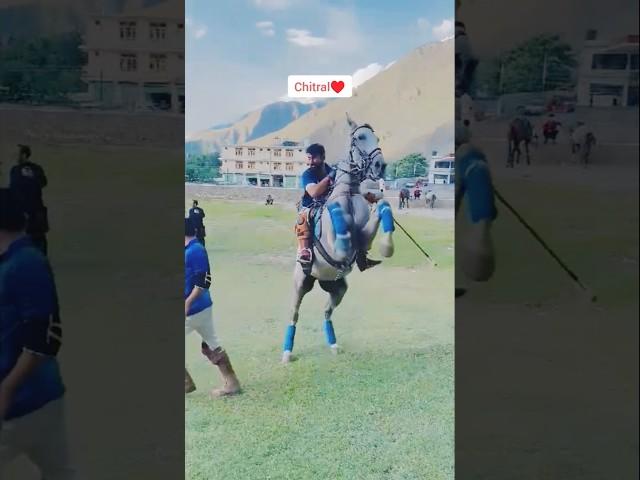 Horse Riding Challenge treading Short video | #horseriding #horselover #horse #trending #shorts