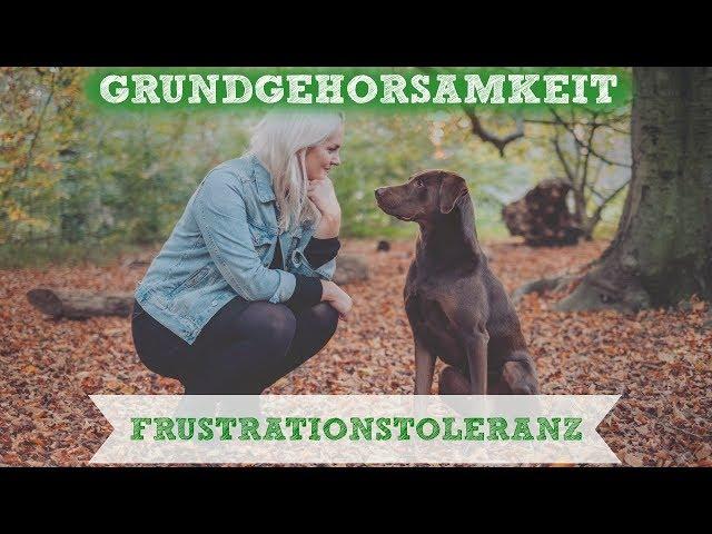 Frustrationstoleranz beim Hund ... Impulskontrolle