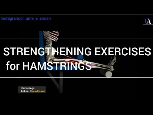 Strengthening Exercises for Hamstrings | Exercises for Leg Pain | @DrUmeAiman