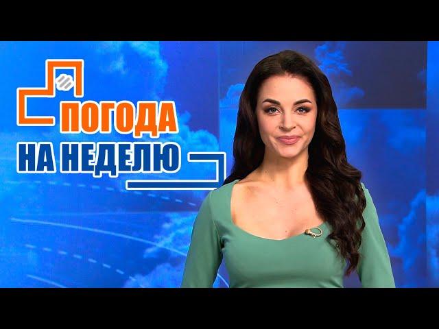 Дождь и северный ветер! Погода на неделю | Прогноз погоды с 30 апреля по 5 мая 2023 | Плюс-минус