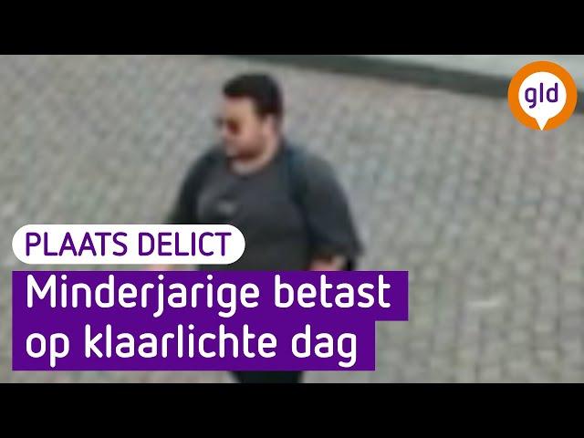 Minderjarige betast op klaarlichte dag in Terborg: herken jij deze man? Plaats Delict