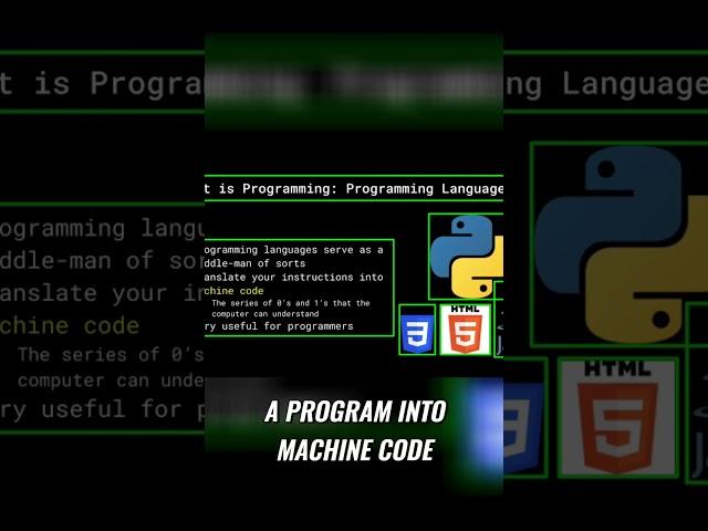 Programming Languages: The Bridge to Machine Code Explained