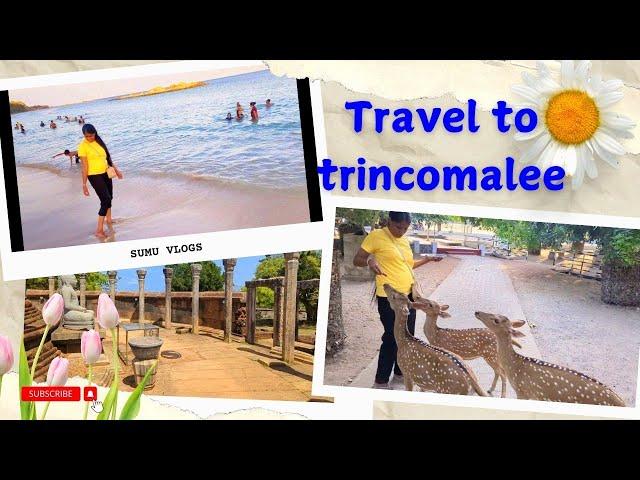 Day in my life | travel to trincomalee | ත්‍රීකුණාමලයට ගියා | Sumu Vlogs | travel to trinco  ‍️