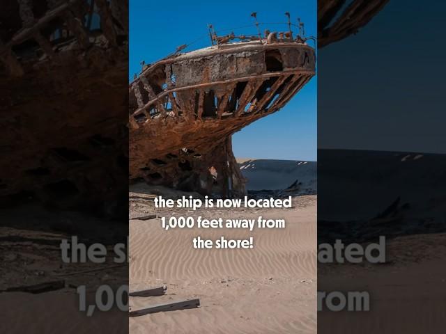 ️ Check out the Eduard Bohlen shipwreck! #shorts #shipwreck #ripleysbelieveitornot