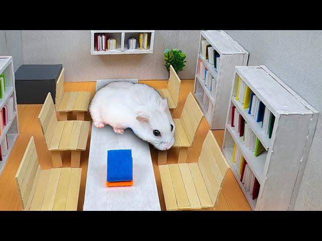  Hamster Adventure in LIBRARY - Amazing Hamster Adventure 