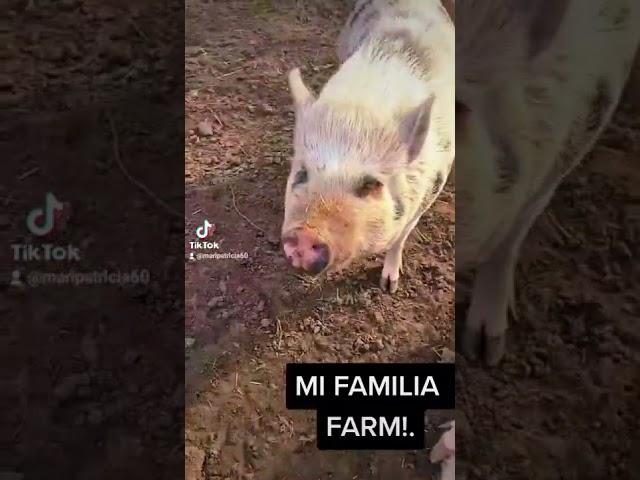 MI FAMILIA FARM!. #aztecasamor JENNI