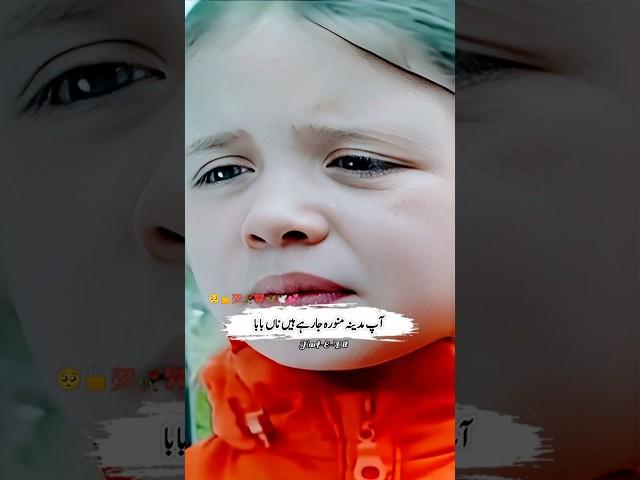 Ap Madinah Munawra Ja Rahy Hain Baba? | Harf-E-Dil Status #dramashorts #unfrezzmyaccount #madina