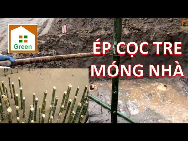 Kỹ Thuật Ép Cọc Tre Cho Móng Nhà Đất Yếu Ít Người Biết