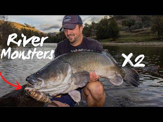 Wild River Monsters - Crazy Session MURRAY COD Fishing