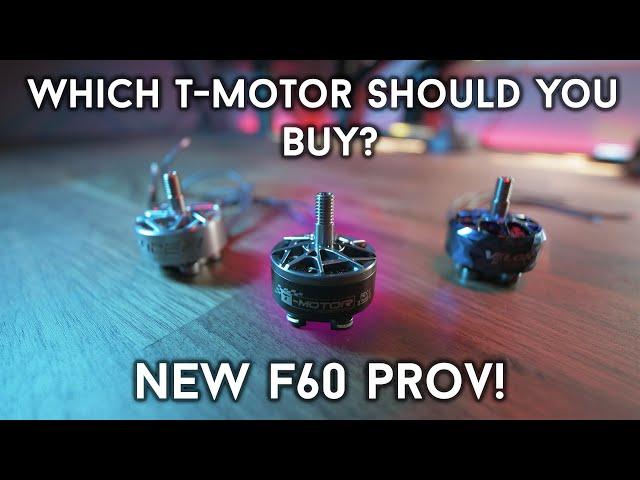 NEW TMotor F60 PROV (V5)  - Which TMotor Should You Buy? | FPV Freestyle