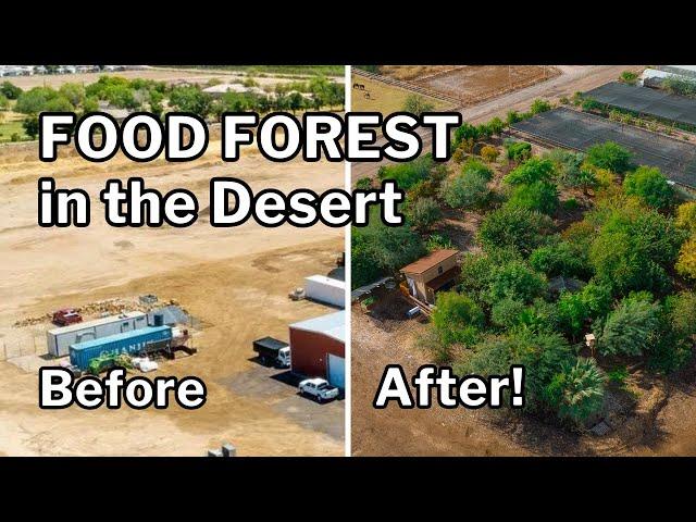 DESERT FOOD FOREST: He Picks Fruit Every Day of the Year!