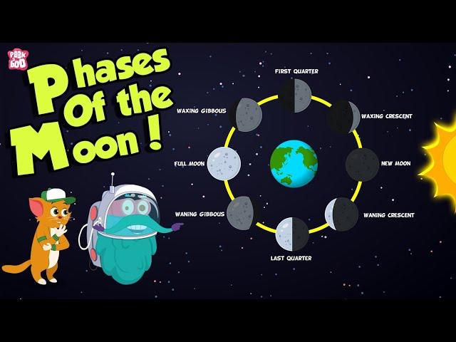 Phases Of The Moon | Why Does The Moon Change Its Shape? | Space | Dr Binocs Show | Peekaboo Kidz