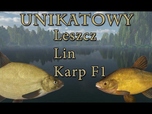 Fishing Planet: Anglia Unikatowy Leszcz Lin Karp f1