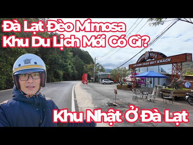 Đà Lạt Đèo Mimosa: Khu Du Lịch MỚI, Khu Nhật Bản Tuyệt Đẹp