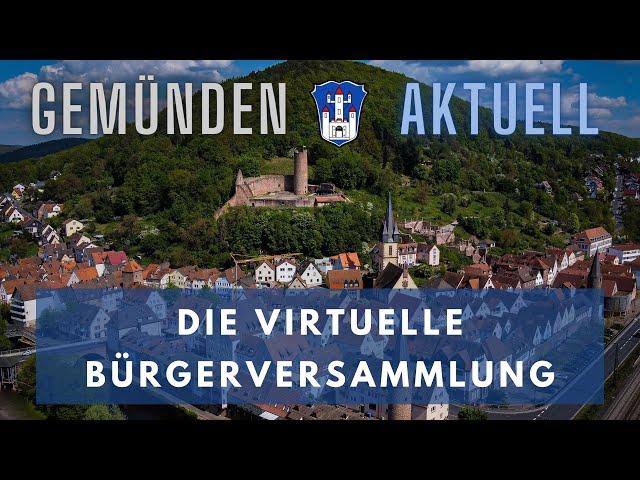 Die virtuelle Bürgerversammlung 2020