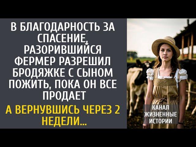 В благодарность за спасение, разорившийся фермер приютил бродяжку с сыном, пока он все продает…