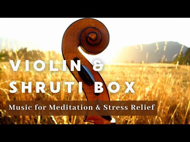 Violin & Shruti Box Music | 1 Hour of Peaceful Music for Meditation & Stress Relief