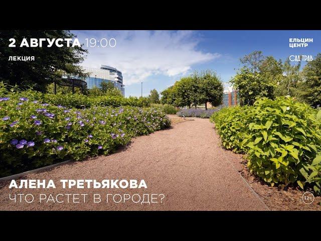 Алена Третьякова. Что растёт в городе?