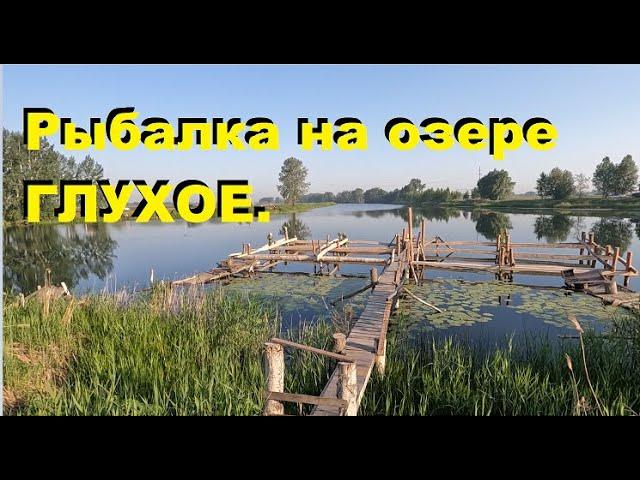 Рыбалка на фидер - озеро Глухое. Feeder fishing for roach on the Siberian lake.