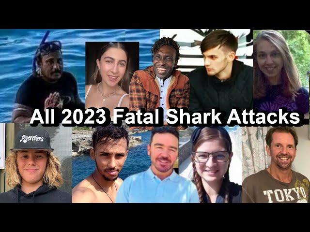 All 2023 Fatal Shark Attacks