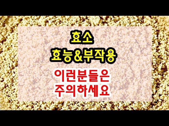 발효 / 효소 효능과 부작용 잘 알고 드셔야해요~