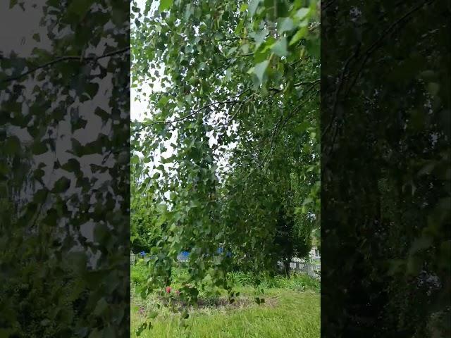 19 июня 2025 г.
