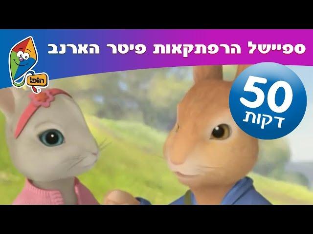 הרפתקאות פיטר הארנב פרקים מלאים בעברית - ערוץ הופ!