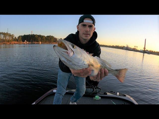 Winter Speckled Trout Fishing in Elizabeth River in Brand New Nitro Z20 (78 MPH)
